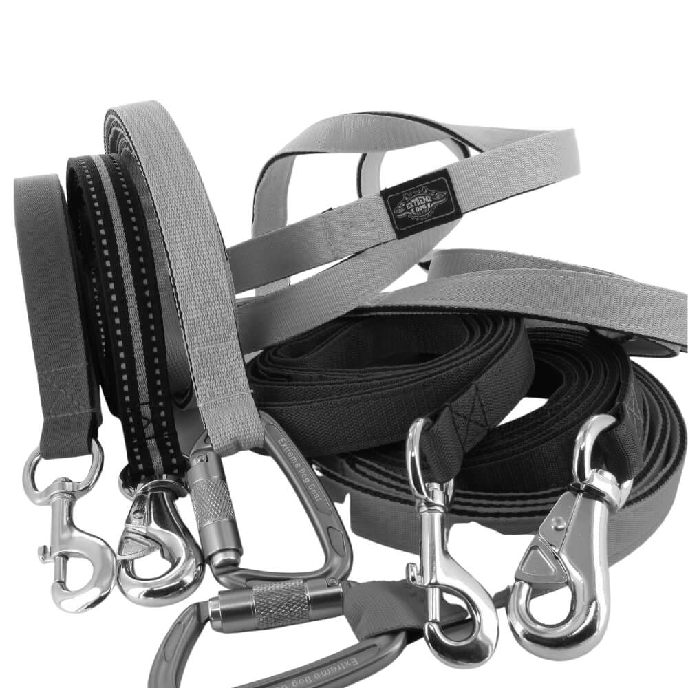 Sterke nylon honden lijnen Eurobullysupply